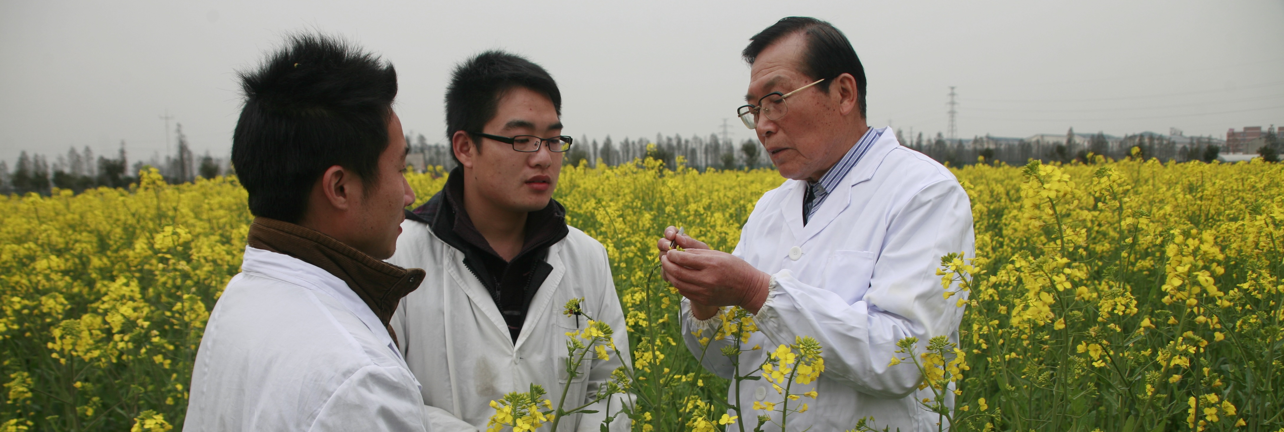 湖南农业大学教授，中国工程院院士，油菜遗传育种和栽培专家。