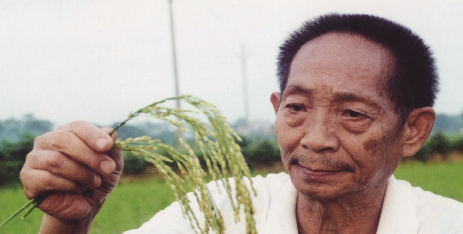 湖南农业大学教授，中国工程院院士，中国杂交水稻育种专家。